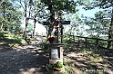 VBS_4743 - Il bosco fatato - Montaldo Roero